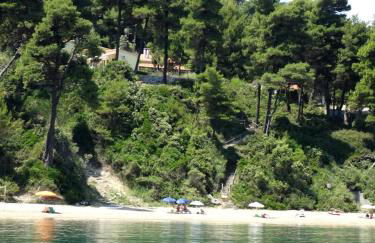 Green and Blue View - Foto 60