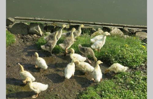 Landhaus Haid - Foto 25