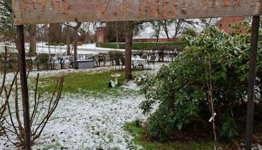 Viking - Photo 2, Garden