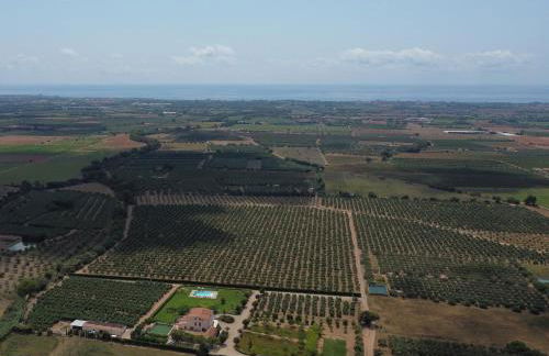 Mas Montbrio Belvedere - Foto 13