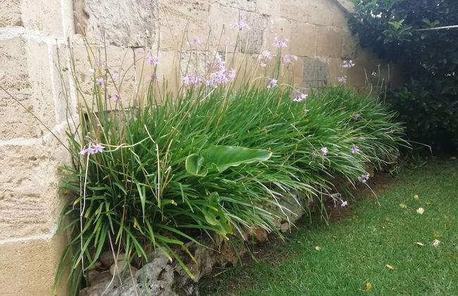 Villetta Dote - Photo 26