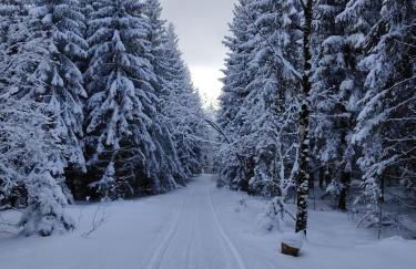 Gasthaus Piesau - Thüringer Wald - Rennsteig - Foto 63