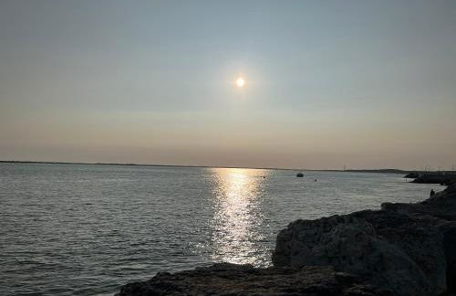 Maison la palmyre - Foto 15