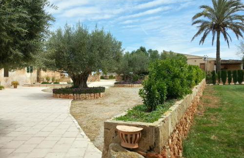 Agroturismo Finca Son Sala - Photo 17