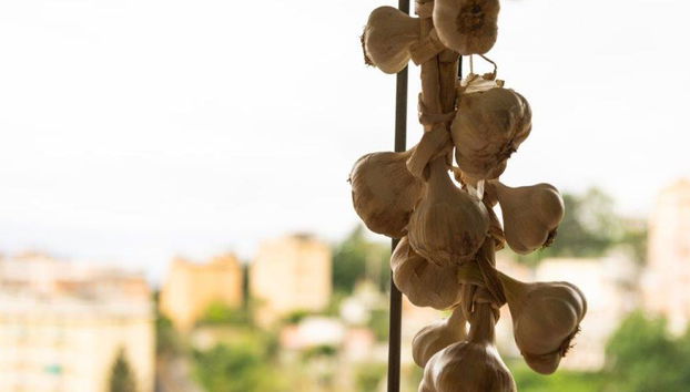 Descubre la cocina italiana - Clase de cocina privada - Foto 5