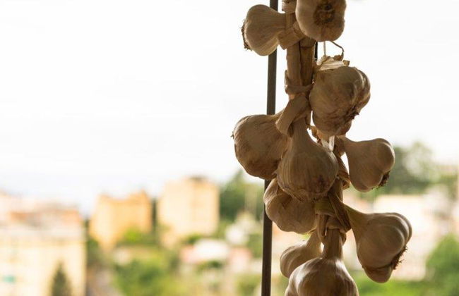 Discover Italian Cuisine - Private Cooking Class - Foto 5