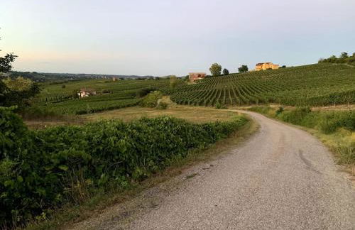 Apart-Agriturismo "La Colomba" Nizza Monferrato - Foto 29