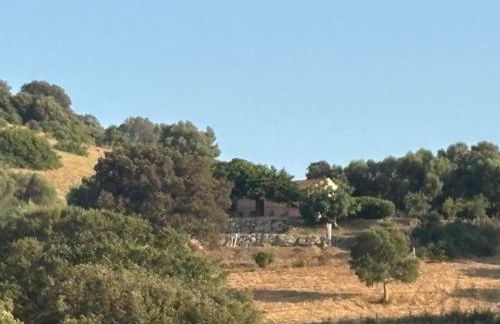Entre mer et maquis- maison avec piscine privée - 8 minutes plage tizzano - Foto 3