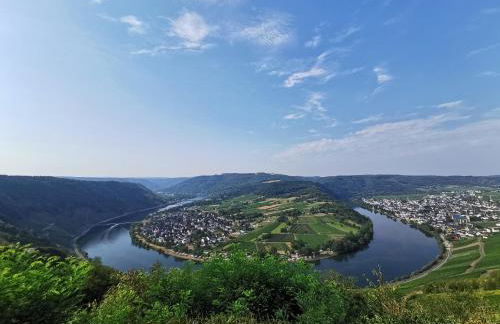 Ferienwohnung Moselpanorama - Foto 46