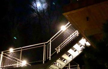 Baumwipfel-Resort "Lug ins Land" - Foto 32