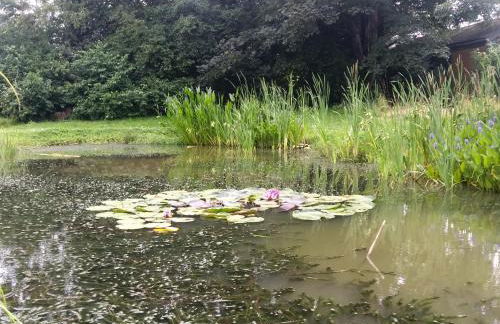 STABLES Stylish comfortable peaceful cottage with parking and outdoor space - Photo 76