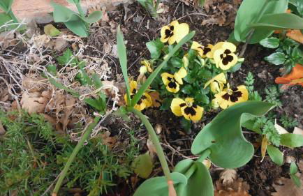 Appartement Le Romarin - Foto 21