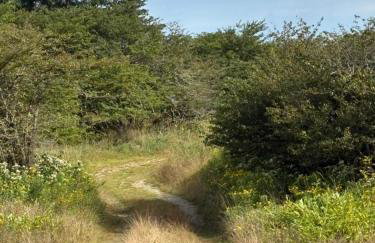 Rocky Top Mountain Getaway - Foto 62