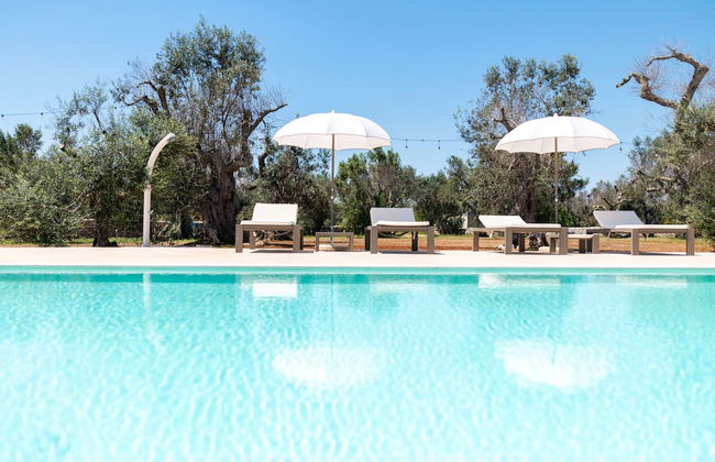 Stunning Villa Surrounded by Olive Trees - Beahost - Foto 51