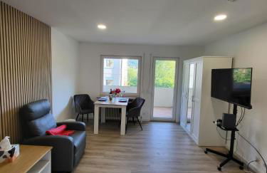 Gemütliche Einzimmerwohnung - Foto 11