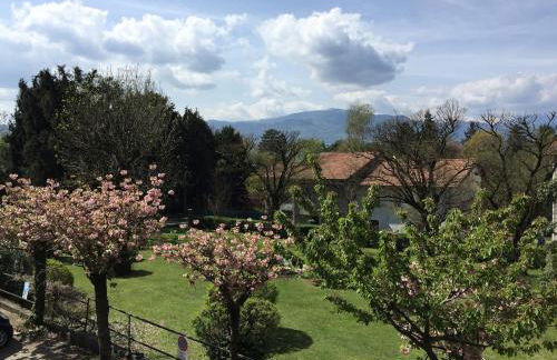 Cerro Lake view perfect for families, walk to the beach! - Photo 7