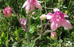 Ferienwohnung Gipfelstürmer - Foto 33