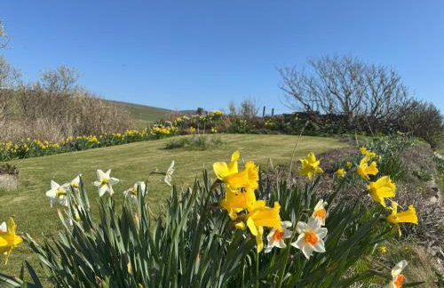 Withi-Gill - Cottage - Bay of Ireland Views - Foto 12