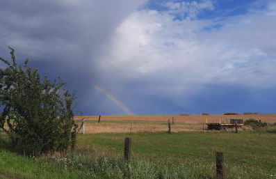 1a Ferienwohnung Poel - Foto 22
