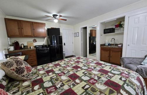 Saranac Lake Studio Apartment - Foto 10