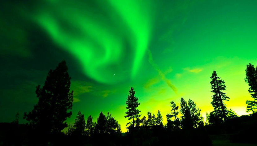 Arctic Circle - Northern Lights Hunting by Minibus - Photo 3