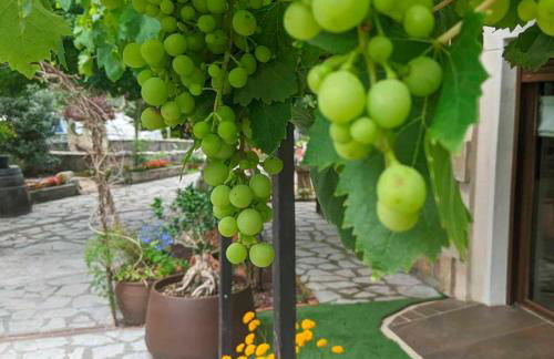 Casa Rural Bilbao Caserio Gondra Alquiler Habitaciones - Foto 23