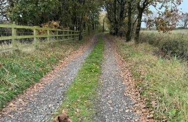 The Retreat - Foto 26