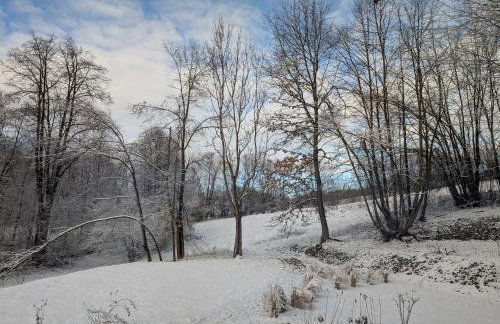 Płachtówka - Foto 38