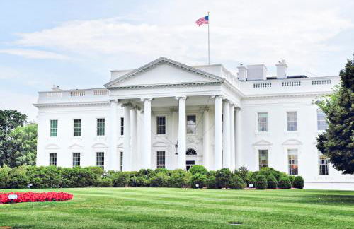 Deluxe Joy - Foto 77