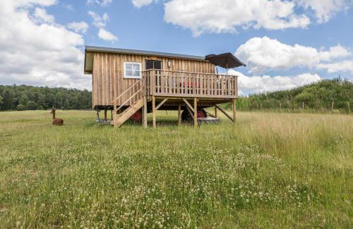 Tinyhouse Alpakawiese - Foto 19