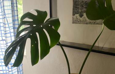 Giorgio antico fienile toscano - Foto 23