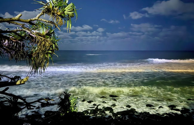 Burleigh Palms Holiday Apartments - Foto 56