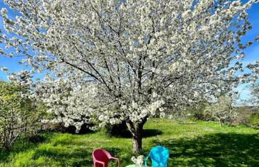 Mosel Urlaub Stabenhof - Whirlpool, Natur und Grill - Foto 53