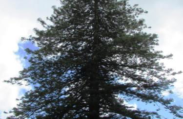 Casa Malva - Traditional townhouse apartment - Foto 19