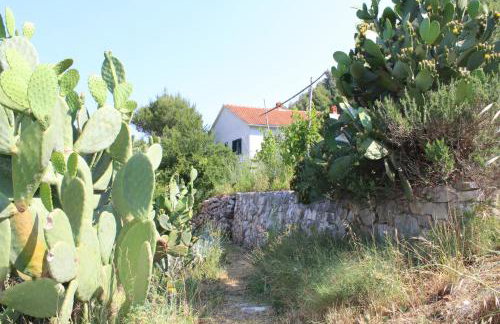 Apartment Stiniva - Foto 19