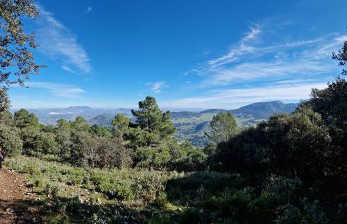 El Pitijopo - Foto 43