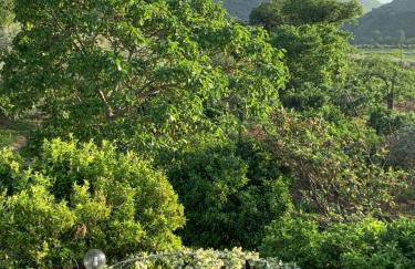 Ginger House - Foto 6