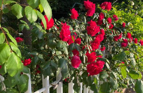 Villetta sul Mare - Foto 63