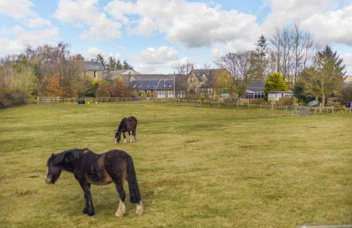 Appletree Cottage - Photo 17