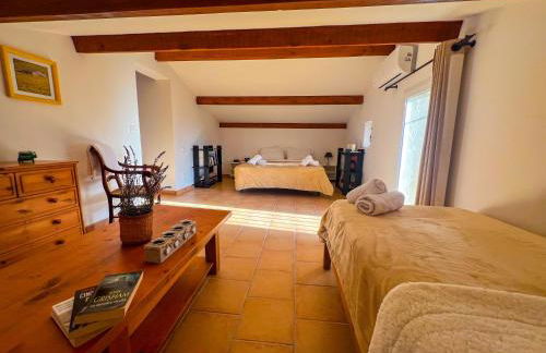 Villa 7 pers - Grande Piscine Privée - Luberon - Foto 30