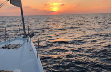 Velero Ariel - Foto 9