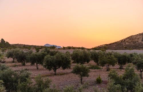 Complejo Rural Sol de Taberno - Foto 75