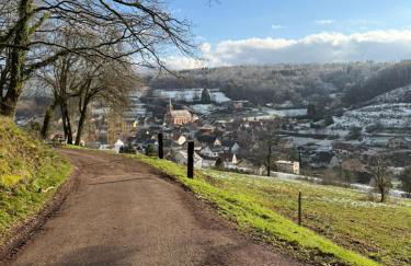 Gîte Bien-être, Sauna, Bain nordique à Soucht (57) - Foto 23