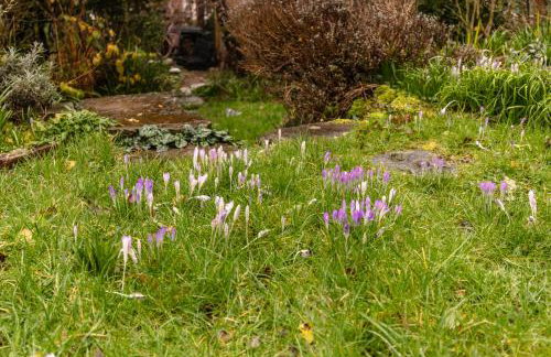 Stylish and Central Cottage Home in Montpelier - Foto 29