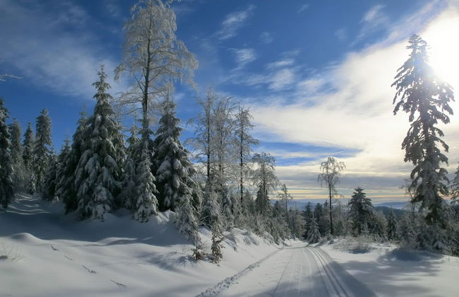 Wohnung in Bayerisch Eisenstein mit Garten - Photo 38