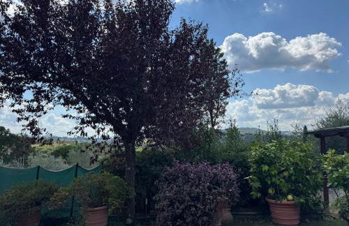 La Limonaia di Vanna - Foto 67