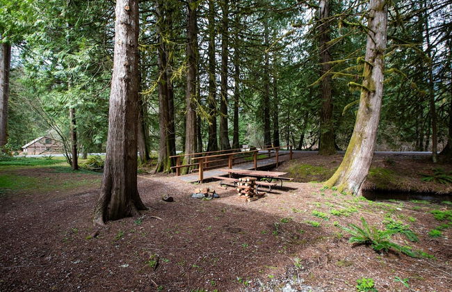 56SLL - Fireplace - Inexpensive - Kitchenette - Sleeps 4 - Foto 28