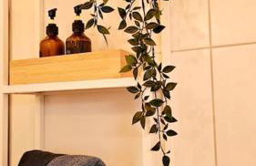 Bergsuite Schwarzwald - Foto 3