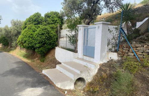 Olive Hill Private House - Foto 43