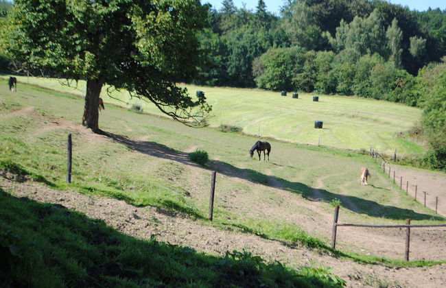 Holiday House in Horse Riding School near Stavelot & Spa Circuit - Photo 23